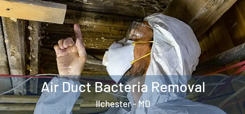  Air Duct Bacteria Removal Ilchester - MD