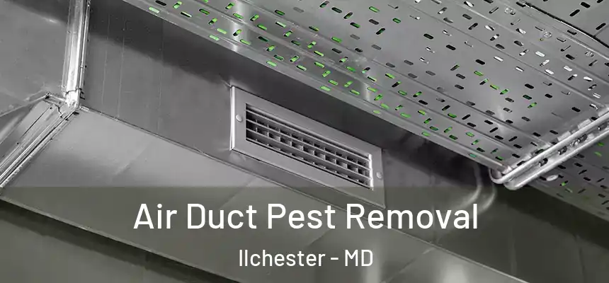  Air Duct Pest Removal Ilchester - MD