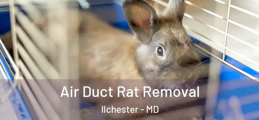 Air Duct Rat Removal Ilchester - MD