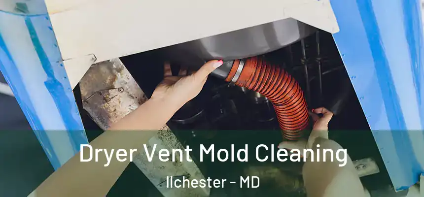  Dryer Vent Mold Cleaning Ilchester - MD