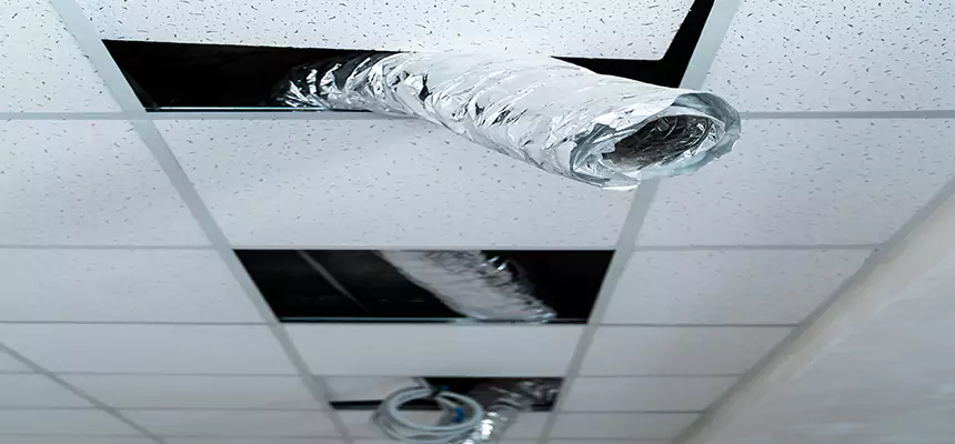 Affordable HVAC Sanitizing After Pest Removal in Ilchester