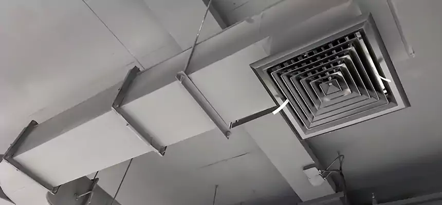 Restorative Allergy Relief Vent Cleaning – Coil, Blower & Housing Detail in Ilchester