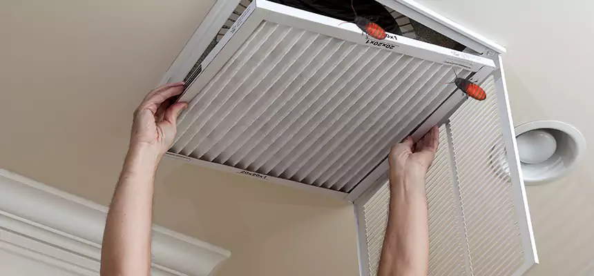 Our Insect Removal from Air Ducts Services in Ilchester, MD