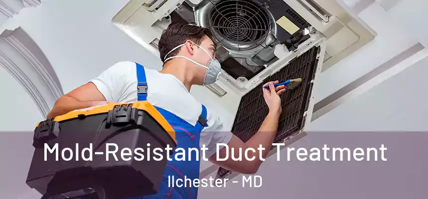  Mold-Resistant Duct Treatment Ilchester - MD