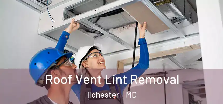 Roof Vent Lint Removal Ilchester - MD