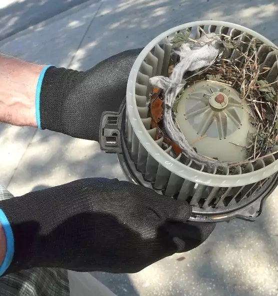 About Air Duct Mice Removal in Ilchester, MD