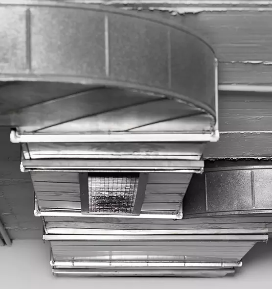 Professional Air Duct Pest Removal in Ilchester, MD