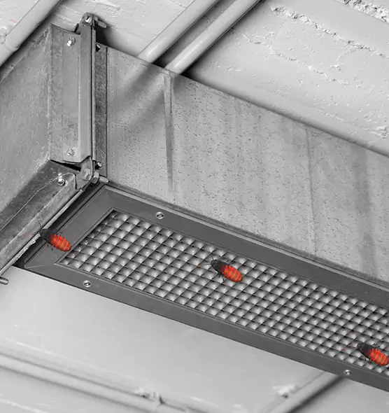 Affordable Insect Removal from Air Ducts in Ilchester, MD