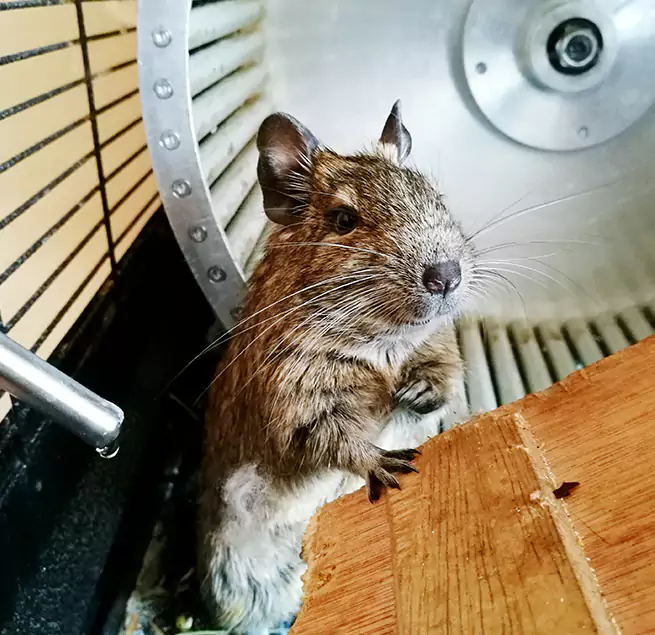 Why Homeowners & Businesses Trust Us Ilchester, MD?