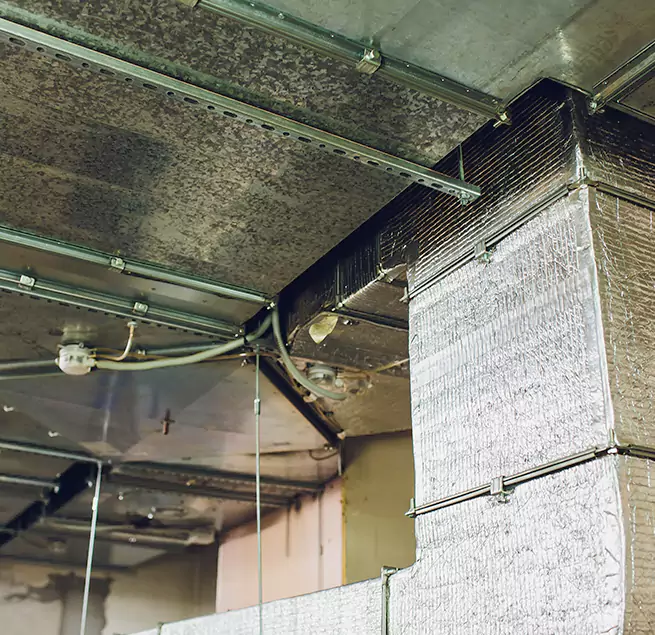 Why Homeowners & Businesses Trust Us in Ilchester, MD?