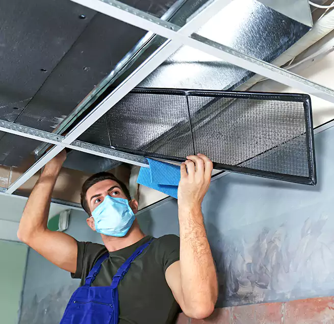 Why Homeowners Businesses Trust Us in Ilchester, MD